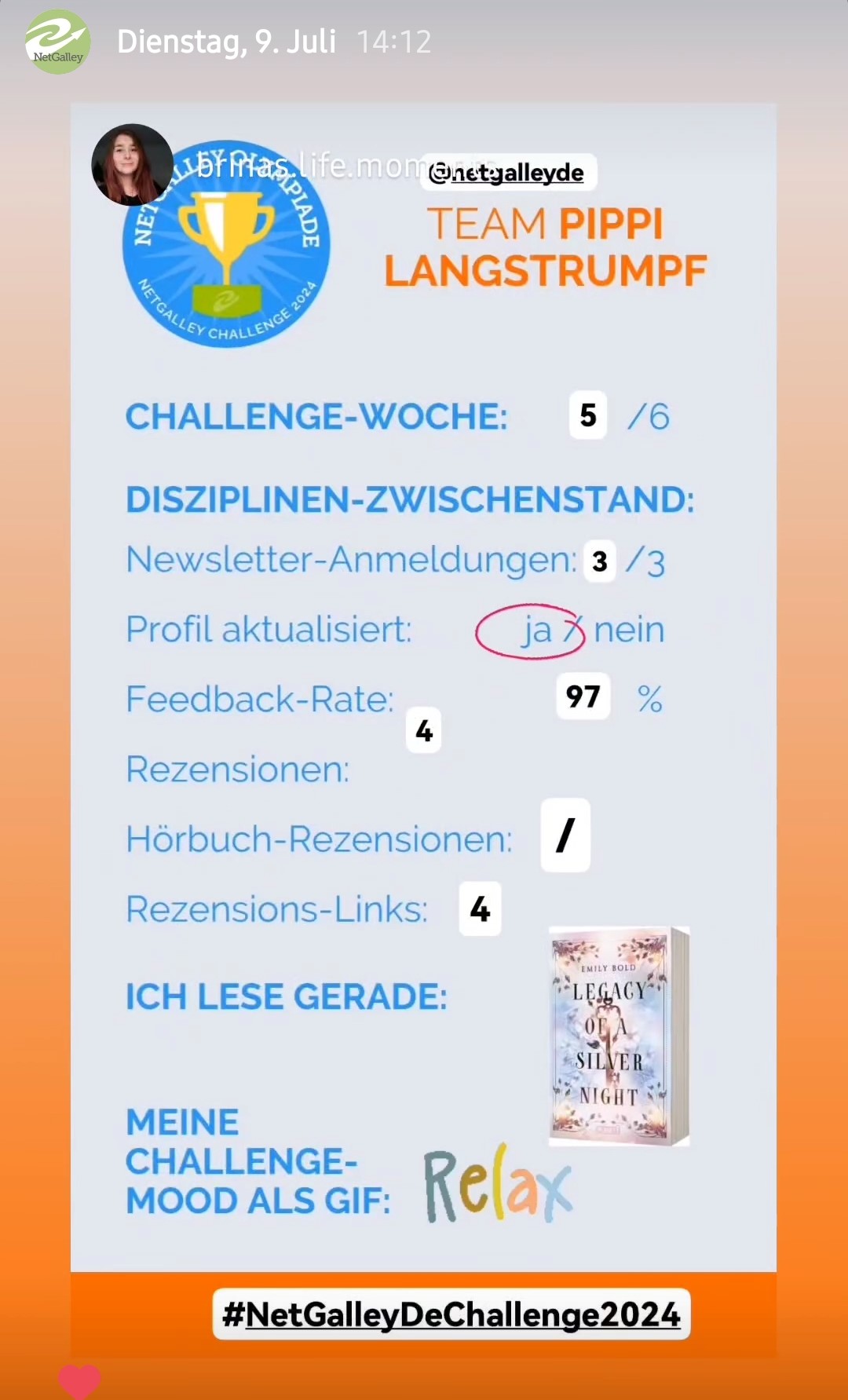 Screenshot von einem ausgefüllten Zwischenstand-Template
