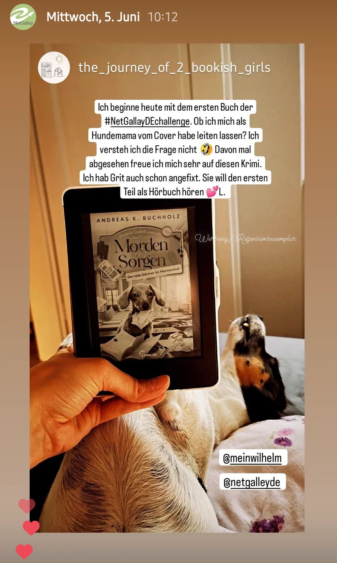 Screenshot einer Story, bei der jemand seinen E-Reader mit dem Buch "Morden ohne Sorgen"